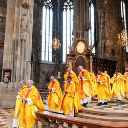Priesterjubiläen / Erzdiözese Wien/ Schönlaub