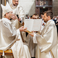 Diakonenweihe 2024 / Erzdiözese Wien/ Schönlaub