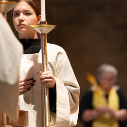 WDST 2024 im Stephansdom / Erzdiözese Wien/Schönlaub