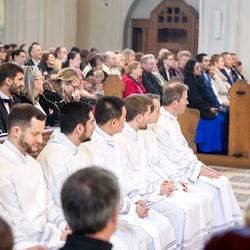 Erzdiözese Wien/Schönlaub, Stephan Schönlaub