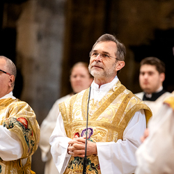 Allerheiligen Stephansdom / Erzdiözese Wien/Schönlaub, Stephan Schönlaub Allerheiligen Stephansdom