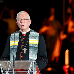 Gedenkgottesdienst / Erzdiözese Wien/ Schönlaub, Stephan Schönlaub