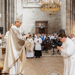 Diakonenweihe 2024 / Erzdiözese Wien/ Schönlaub