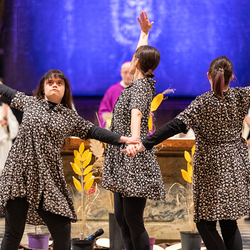 WDST 2024 im Stephansdom / Erzdiözese Wien/Schönlaub