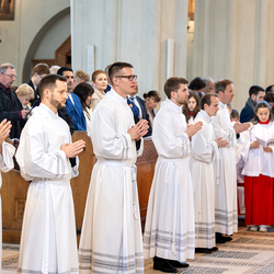 Erzdiözese Wien/Schönlaub, Stephan Schönlaub