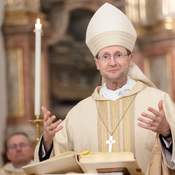 Admissio 2025 / Erzdiözese Wien/ Schönlaub, Stephan Schönlaub