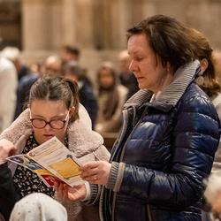 WDST 2024 im Stephansdom / Erzdiözese Wien/Schönlaub