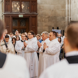 Diakonenweihe 2024 / Erzdiözese Wien/ Schönlaub