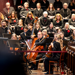 Te-Deum Papst Leo XIV / Erzdiözese Wien/Schönlaub, Stephan Schönlaub