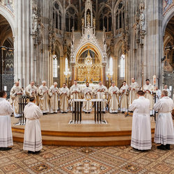Diakonenweihe 2024 / Erzdiözese Wien/ Schönlaub