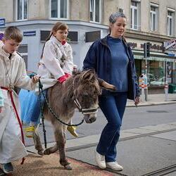 Palmsonntag Pfarre Heilige Mutter Teresa / Erzdiözese Wien/Feuchtner