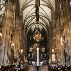 Allerseelen Requiem im Stephansdom