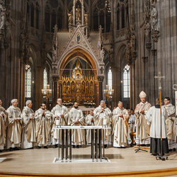 Diakonenweihe 2024 / Erzdiözese Wien/ Schönlaub