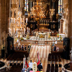 Fiacriusmesse 2025 / Erzdiözese Wien/Schönlaub, Stephan Schönlaub