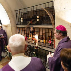 Erzdiözese Wien/ Schönlaub, Stephan Schönlaub