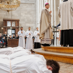 Diakonenweihe 2024 / Erzdiözese Wien/ Schönlaub